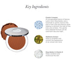 4 - in - 1 Pressed Mineral Makeup Broad Spectrum SPF 15 - PÜR Beauty - Key Ingredients Dark