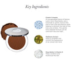 4 - in - 1 Pressed Mineral Makeup Broad Spectrum SPF 15 - PÜR Beauty - Key Ingredients Deep