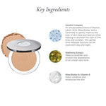 4 - in - 1 Pressed Mineral Makeup Broad Spectrum SPF 15 - PÜR Beauty - Key Ingredients 