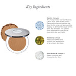 4 - in - 1 Pressed Mineral Makeup Broad Spectrum SPF 15 - PÜR Beauty - Key Ingredients Tan